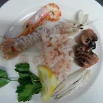 Gallo 2*