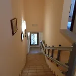 Gallo אורחן 2*